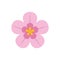 Orchid flat icon