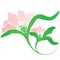 Orchid Flower Logo