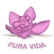 Orchid flower PURA VIDA emblem, vector illustration