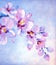 Orchid flowers. Oil painting