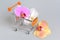 Orchid flowers in pushcart on gray