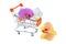 Orchid flowers in pushcart isolated