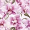 Orchid home decor for a touch of sophistication