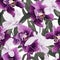 Orchid home decor for a touch of sophistication