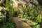 Orchid house with small path walk or path way on center with various plant tree kind - indonesia