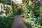 Orchid house with small path walk or path way on center with various plant tree kind - indonesia