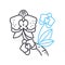 orchid line icon, outline symbol, vector illustration, concept sign