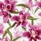 Orchid Magic Unveiled Seamless Beauty