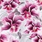 Orchid Mirage Seamless Beauty