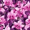 Orchid modern for website design