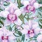 Orchid modern for website design