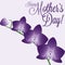 Orchid Mother`s Day card