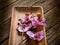 Orchid over wood dish