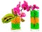 Orchid and plants in glass with hydrogel