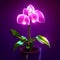 Orchid in a pot on a purple background. 3d rendering generative AI