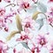 Orchid Reverie Floral Pattern