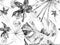 Orchid Seamless Pattern.