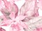 Orchid Seamless Pattern.