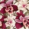 Orchid Splendor Floral Pattern Magic