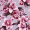 Orchid Splendor Seamless Artwork