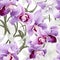 Orchid Symphony Seamless Beauty