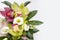 Orchid tropical flowers, romantic bouquet of orchids for copy space
