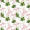 Orchid Tropical Leaves and Flowers Background. Seamless Pattern