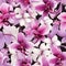 Orchid vintage for home decor