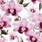 Orchid wallpaper for a stylish and elegant look