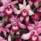 Orchid Whisper Floral Pattern Delight