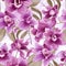 Orchid Whisper Floral Pattern Delight