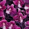 Orchid Whispers Floral Pattern