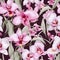 Orchid Whispers Seamless Pattern