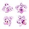 Orchids Phalaenopsis with dots purple and white closeup beautiful flower isolated set second on a white background vintage vect