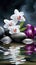 Orchids in Water, Round Stones for SPA Salon, Relaxation, Orchid Flowers and Pebbles