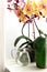 Orchids on the windowsill. Decoration with indoor flowers. Watering flowers with water. Plant care and floriculture