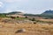 Orcia Valley landscape