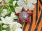 The order of the `Red Star` on the background of the blooming Apple tree and of the St. George`s ribbon. Heirloom. Memory. May 9