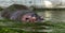 Ordinary hippopotamus in the water of the pool of the zoo aviary. The African herbivore aquatic mammals hippopotamus spends most