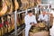 Ordinary positive butchery technologists checking joints of iberico jamon