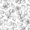 Oregano drawing. Seamless pattern. Isolated Oregano plant