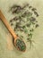 Oregano. Dried herbs. Herbal medicine, phytotherapy medicinal he