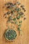 Oregano. Dried herbs. Herbal medicine, phytotherapy medicinal he