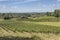 Oregon farms fields and landscape.