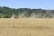 Oregon Grown Rye Grass Harvest in the Willamette Valley, Marion County