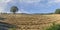 Oregon Grown Ryegrass Harvest in the Mid-Willamette Valley, Marion County