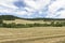 Oregon Grown Ryegrass Harvest in the Willamette Valley, Marion County