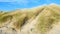 Oregon sand dune rises to blue sky