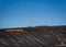 Oregon Substation Fire - Islands of Wheat on Black Soil