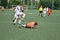 Orenburg, Russia - 6 June 2017 year: Boys play football